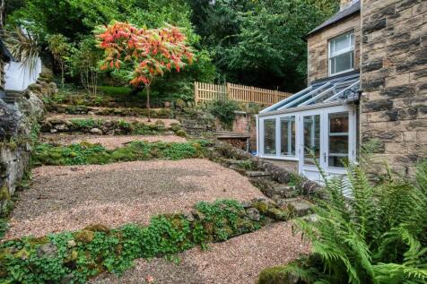 Side garden.jpg
