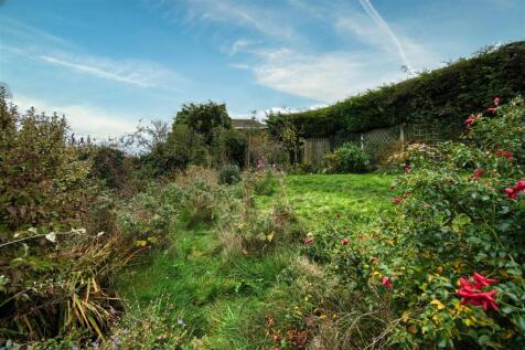 Garden - plants and lawn.jpg