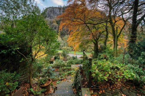 Front Garden and view.jpg