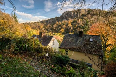 Upper garden and view.jpg