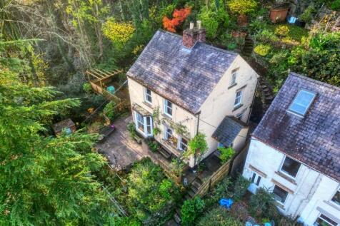 Drone - home and gardens.jpg