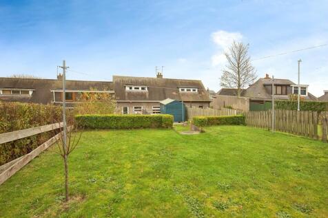Backgarden