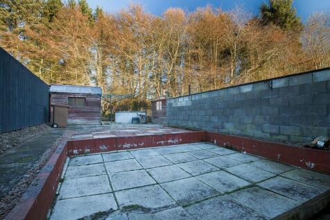 Backgarden