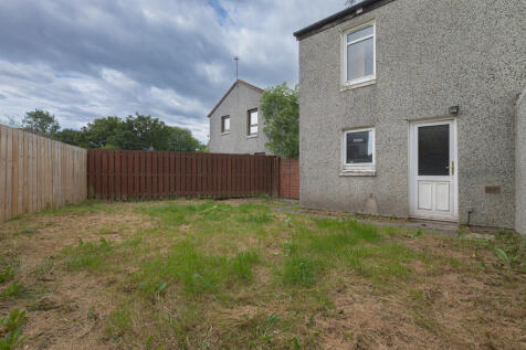 Backgarden (2)
