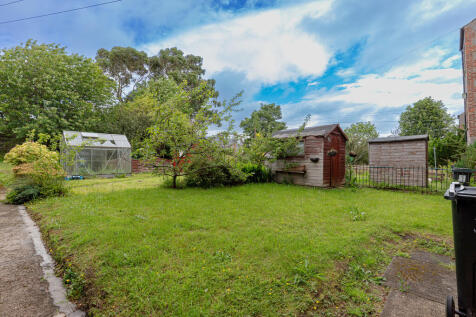 Backgarden1
