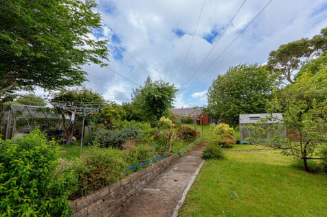 Backgarden2