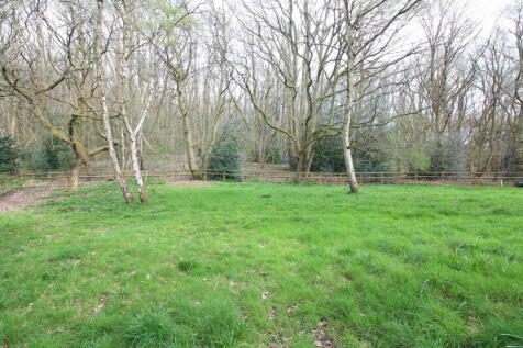 Property Image 34
