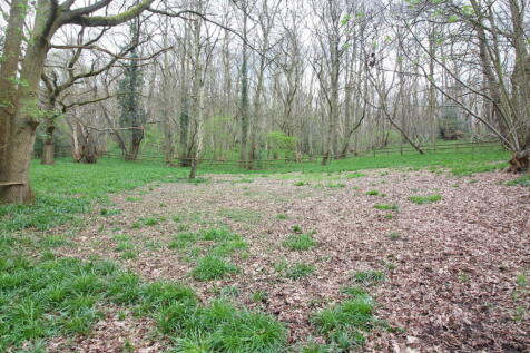 Property Image 35