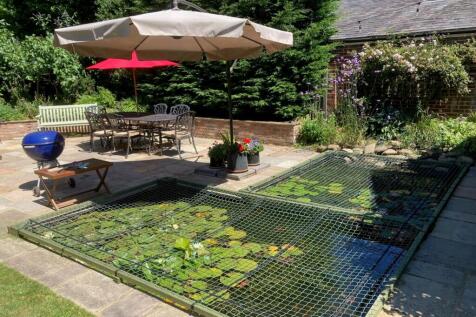 Goldfish Pond