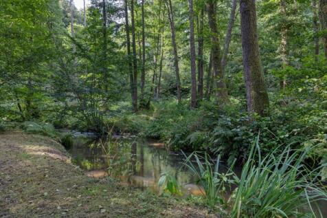 River Wey
