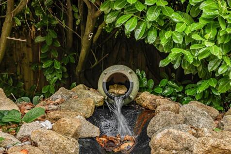 Water Feature