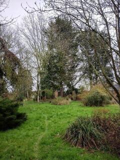 garden 2.JPG