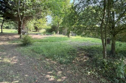 IMG_0109.jpeg