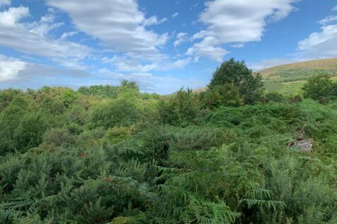 Land At Moss Road