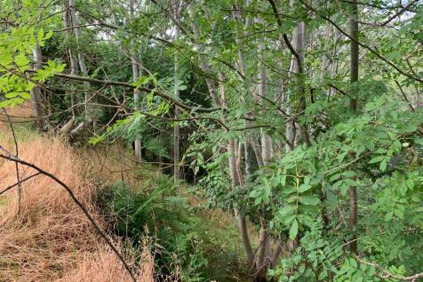 Land At Moss Road