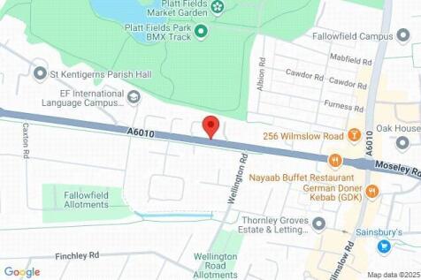 Google Maps Image