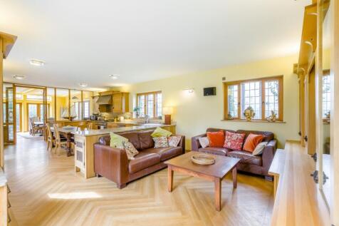 Tv Area/Kitchen
