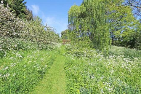 Lower garden.jpg