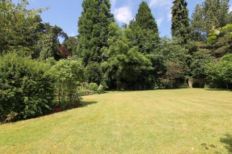 Property Image 41