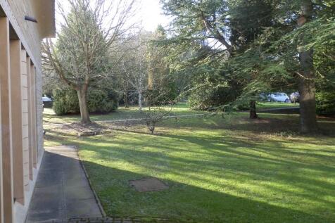 garden area