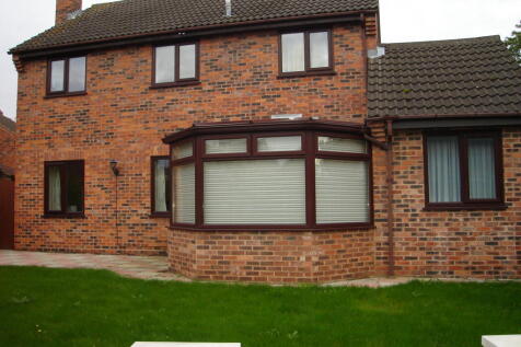 Rear Aspect