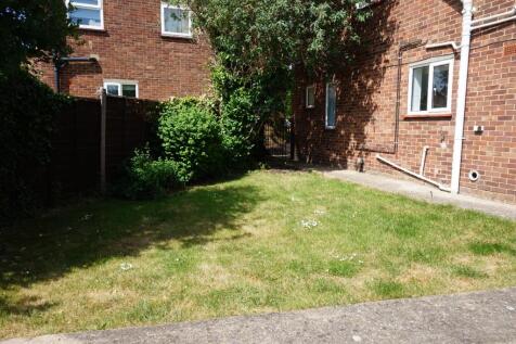 Rear Garden II