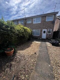 Back Garden