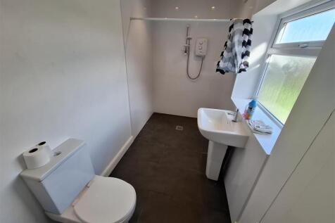 Downstairs wet room