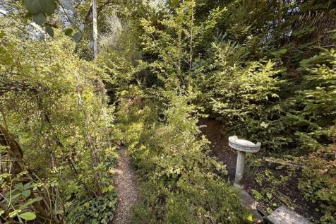 Garden 2.jpg