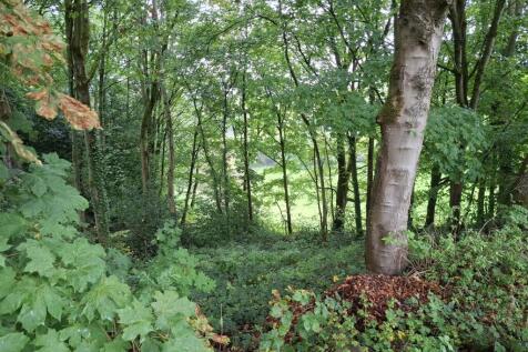 Property Image 31