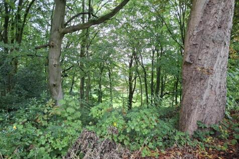 Property Image 32