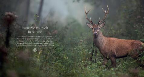 Epping forest