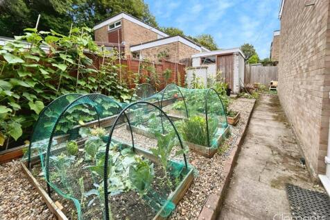 Back Garden