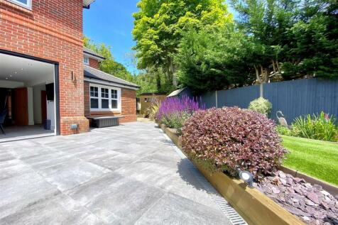 garden 6.jpg