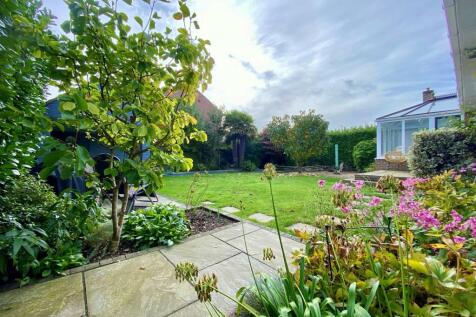 garden.jpg