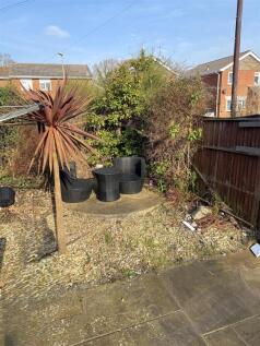 garden 2.jpg
