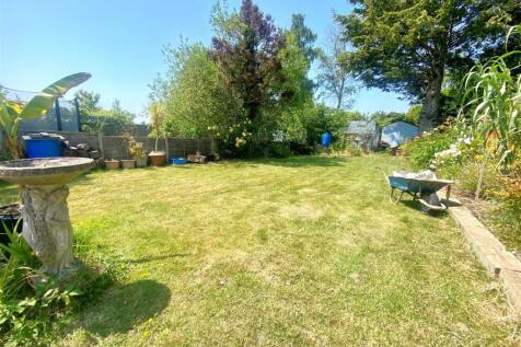 garden 3.jpg