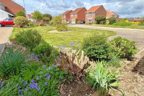 front garden 2.jpg