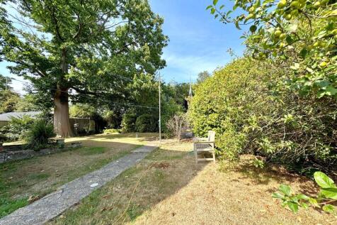 garden 2.jpg