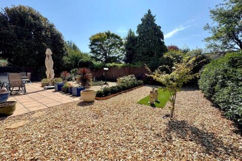 garden 3.jpg
