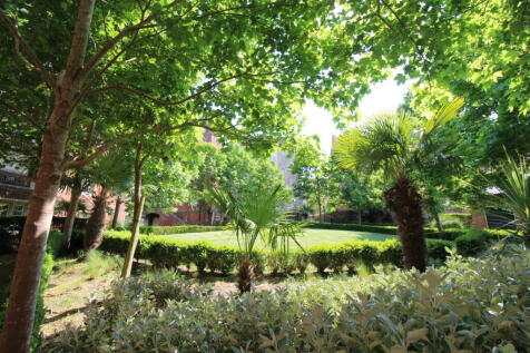 Grounds