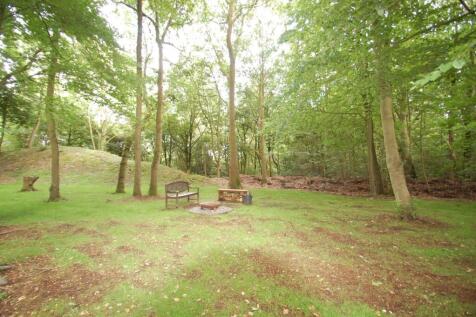 Picnic Area