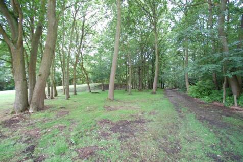 Grounds