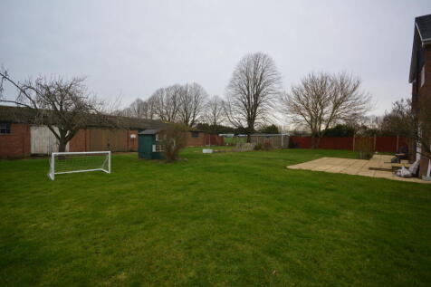 Garden View 2