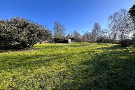 Garden View 3