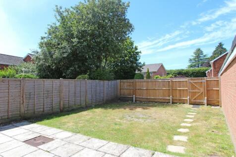 Picture 14