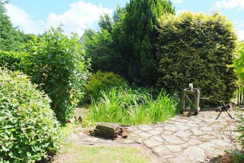 5 Garden Rear pond.jpg