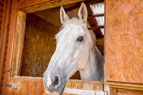 Ashton House (Kirton)-41.jpg