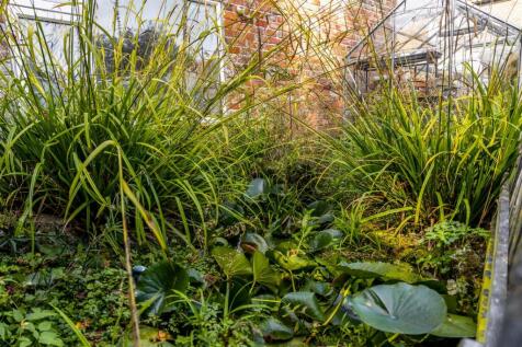 Lynwood (Sibsey)-23.jpg