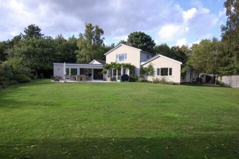 Back garden.jpg